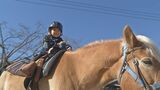 幼稚園児が乗馬体験 馬上から見る景色に大興奮 大分 | 大分のニュース|OBS NEWS|大分放送