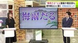 梅雨が関係する体調不良“梅雨だる” 理学療法士にきいた症状や対策は? 梅雨の時期により症状が悪化する人の特徴『亀首』とは | 青森のニュース│ATV NEWS│青森テレビ