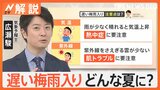 「遅い梅雨入り」は雨の短期集中型と記録的猛暑の可能性　熱中症と肌トラブルにも要注意【Nスタ解説】|TBS NEWS DIG