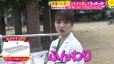 洗濯ハンガー、ひたすら試してランキング 2位は室内干しのしやすい『いちどにありがとう 32』、1位は?独自ランキング【MBSサタデープラス】|TBS NEWS DIG