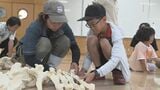 動物の体の秘密を学ぶ「キリンの骨ならべ!」 沖縄こどもの国 | 沖縄のニュース|RBC 琉球放送