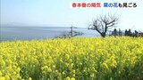 菜の花と穏やかな海の共演　瀬戸内海の春風景　広島・福山市　|　RCC NEWS | 広島ニュース | RCC中国放送