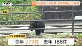 県内のクマ目撃279件で過去最多ペース　市街地では去年の同じ時期の倍に…今年クマに襲われ1人死亡3人負傷（山形）　|　山形のニュース│TUYテレビユー山形