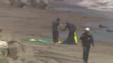 【速報】 「パラセーリング中の人が沈んだようだ」海岸近くで意識不明の男性　北海道函館市|TBS NEWS DIG