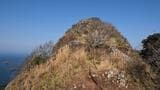 「明日山に登る」…行方不明から3日　九州百名山・標高347mの志々伎山で車発見　危険な暑さ、70代男性の捜索続く|TBS NEWS DIG