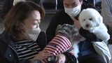 11月1日はワンワンワンで犬の日 岩手・盛岡市で動物福祉について考えるセミナー開催|TBS NEWS DIG