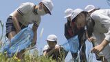温暖化対策が地元の自然を守ることに…児童が生き物を学ぶ 山口・防府 | 山口のニュース・天気・防災|tys NEWS|tysテレビ山口