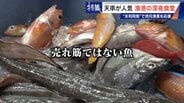 ｢漁1回の燃料費は15万円｣ 売れない“未利用魚”を絶品に 午前2時に開く深夜食堂  地元漁業の救世主なるか　|　名古屋・愛知・岐阜・三重のニュース【CBC news】 | CBC web