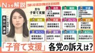 “独身税”と揶揄も…最大月550円超の「支援金」は実質負担増？衆議院選挙「子育て支援」各党の公約を比較【Nスタ解説】|TBS NEWS DIG