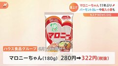【速報】「マロニーちゃん」が約11年ぶり値上げ　カレールウなど最大約15％　ハウス食品グループ6月納品分から| TBS CROSS DIG with Bloomberg