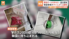 野球ボールの中身は違法薬物「YABA」＝タイ語で「狂った薬」　韓国警察がタイ人47人を大量摘発| TBS CROSS DIG with Bloomberg