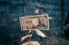 「有事の円買い」はイラン戦争で機能しない？、原油高騰で見えた弱点| TBS CROSS DIG with Bloomberg