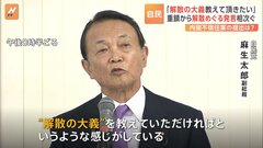 吹きやまぬ“解散風”に麻生副総裁は苦言「解散の大義を教えていただければ」 国会の会期末が迫る中、解散めぐる発言相次ぐ| TBS CROSS DIG with Bloomberg