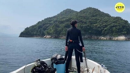 海の中に咲く「幻の花」ウミヒルモ 広島・江田島沖で撮影 | RCC NEWS