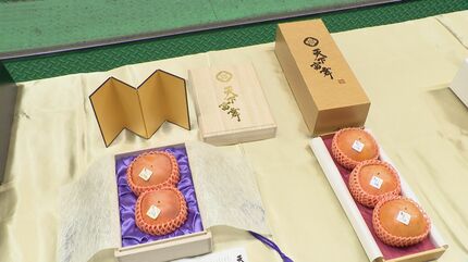 ブランド柿を2個100万円で落札 岐阜県産｢天下富舞｣今年の初競り 織田
