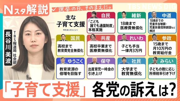 “独身税”と揶揄も…最大月550円超の「支援金」は実質負担増?衆議院選挙「子育て支援」各党の公約を比較【Nスタ解説】|TBS NEWS DIG