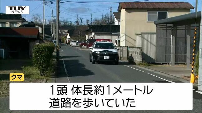 【動画】庄内町・鮭川村では緊急銃猟でクマを駆除 酒田市では住宅街の道路を歩くクマ(山形)|TBS NEWS DIG