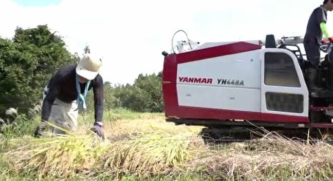 地震で被害、8月の大雨であぜ崩落も 石川・輪島市のコメ農家 困難な状況下で今年の収穫を完了|TBS NEWS DIG