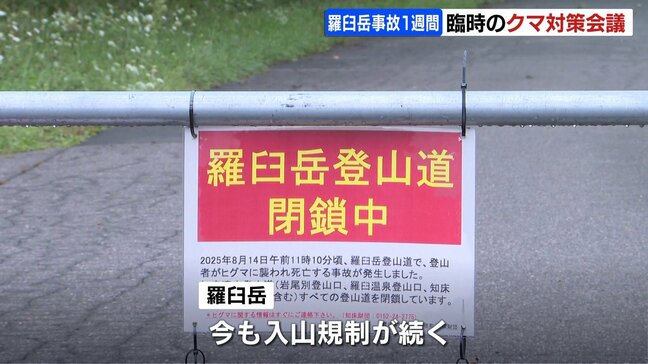 ヒグマに襲われ男性が死亡した事故から1週間 北海道が臨時対策会議開催 事故防止に向けた取り組みを報告|TBS NEWS DIG