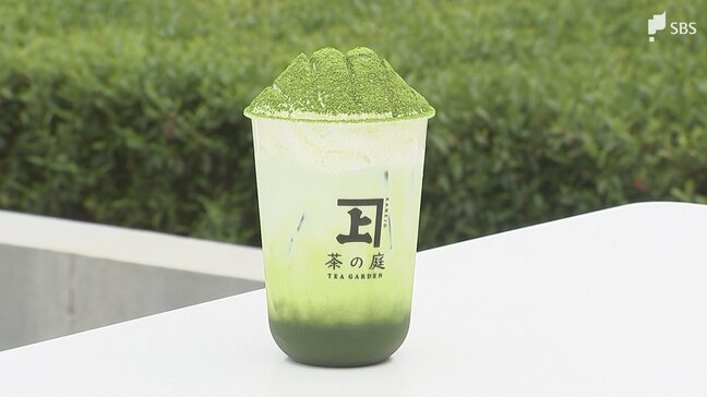 岐路に立つ静岡茶は変われるのか? カギは「グローバルな視点」 将来担う人たちが訴える意識改革の必要性=静岡|TBS NEWS DIG