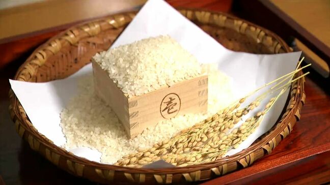 「コメの新品種」暑さに強い「あきの舞」初出荷　約10年かけて育成　鹿児島|TBS NEWS DIG