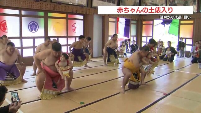 赤ちゃん大泣き! 健やかな成長を願い「土俵入り」 熊本|TBS NEWS DIG