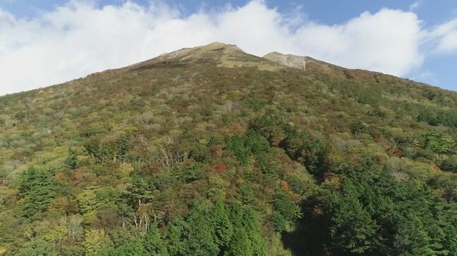 雨の国立公園大山を下山中…「転倒し右足首が痛い」　登山に訪れていた47歳男性が自力で下山できなくなり救助要請|TBS NEWS DIG