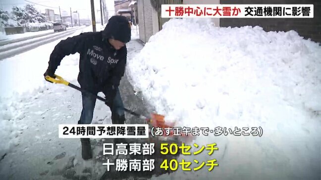 「いじめられているようだ…」北海道十勝地方中心に最大50㎝の降雪予想 JRは50本が運休|TBS NEWS DIG