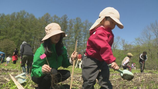 未来のために…「旭川家具」の職人らが広葉樹のミズナラを植樹 北海道東川町|TBS NEWS DIG