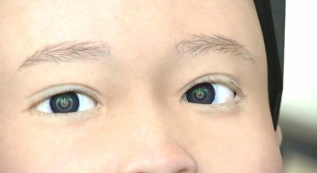 関西万博で活躍!加賀友禅を着たロボット「Yui」が金沢で特別展示 復興の願いを込めた匠の技と最新技術の融合を体感|TBS NEWS DIG