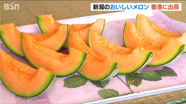 「とろけるような甘さで富裕層に人気」新潟の砂丘で育ったメロンを香港へ　|TBS NEWS DIG