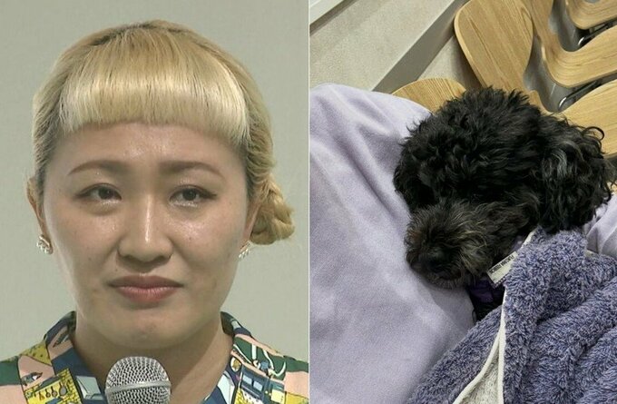 【 丸山桂里奈 】　愛犬が「倒れてしまい、、、」「嘔吐もしていた」　動物病院へ　心配な状況明かす　「診察の時は大号泣してしまいました」|TBS NEWS DIG