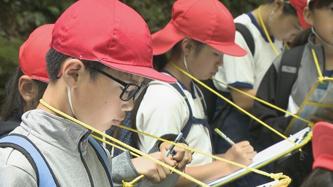 「とてもすてきな所」世界ジオパーク認定の山口・美祢　児童が地域の魅力学び観光ガイドへ|TBS NEWS DIG