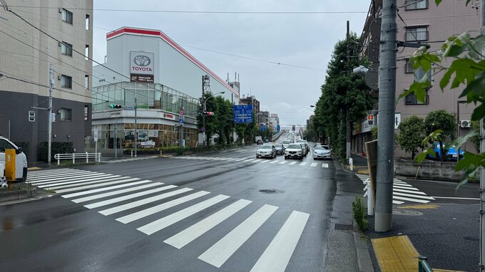 環状八号線で80歳女性がキッチンカーにはねられ死亡　運転手の男（50）を現行犯逮捕　東京・杉並区|TBS NEWS DIG