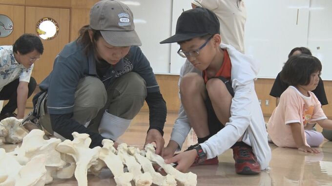 動物の体の秘密を学ぶ「キリンの骨ならべ！」　沖縄こどもの国|TBS NEWS DIG