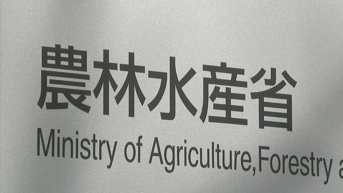 農水省　生産実績未確認のまま水田活用交付金100億円超支払う|TBS NEWS DIG