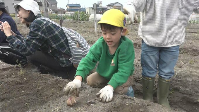 「おいしくそだって！ポテトサラダに…」園児たちがジャガイモ植え付け体験　富山　|　富山のニュース｜天気・防災｜チューリップテレビ
