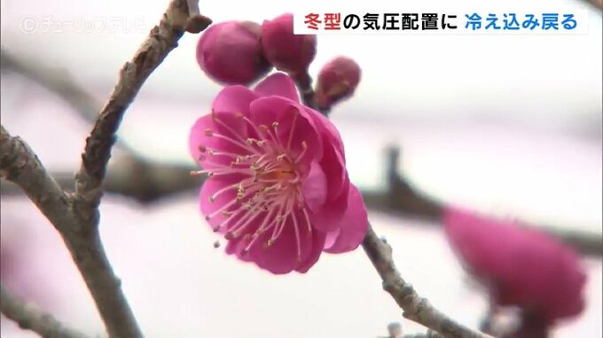 連日の暖かさから一転、各地で氷点下の冷え込みに　富山　|　富山のニュース｜天気・防災｜チューリップテレビ