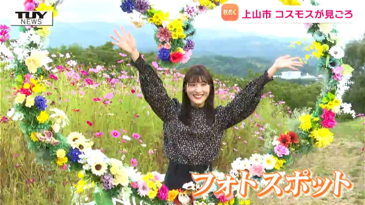 絶景をバックに写真！ 市民農園で3万本のコスモスが見頃 春には菜の花