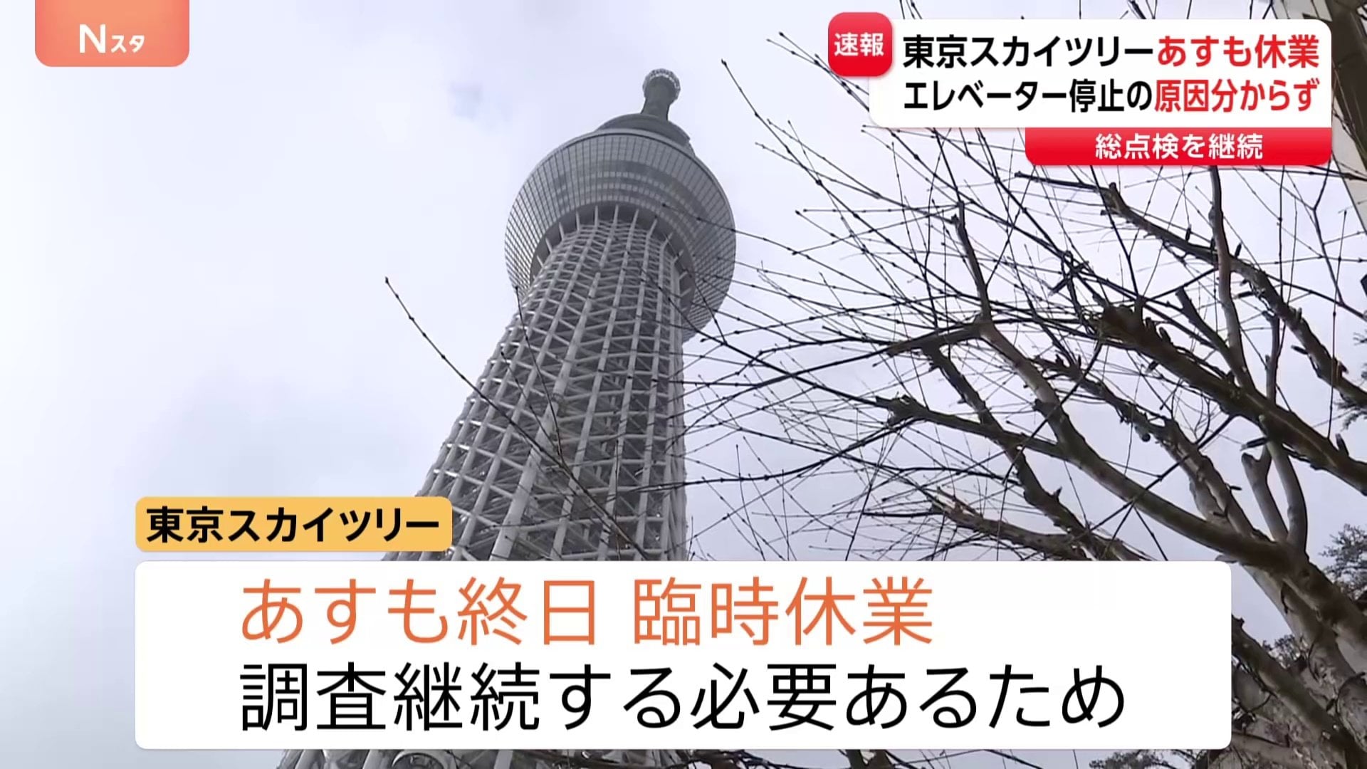 1975→1980/日米経済総点検 1975→1980/日米経済総点検 【公式通販】