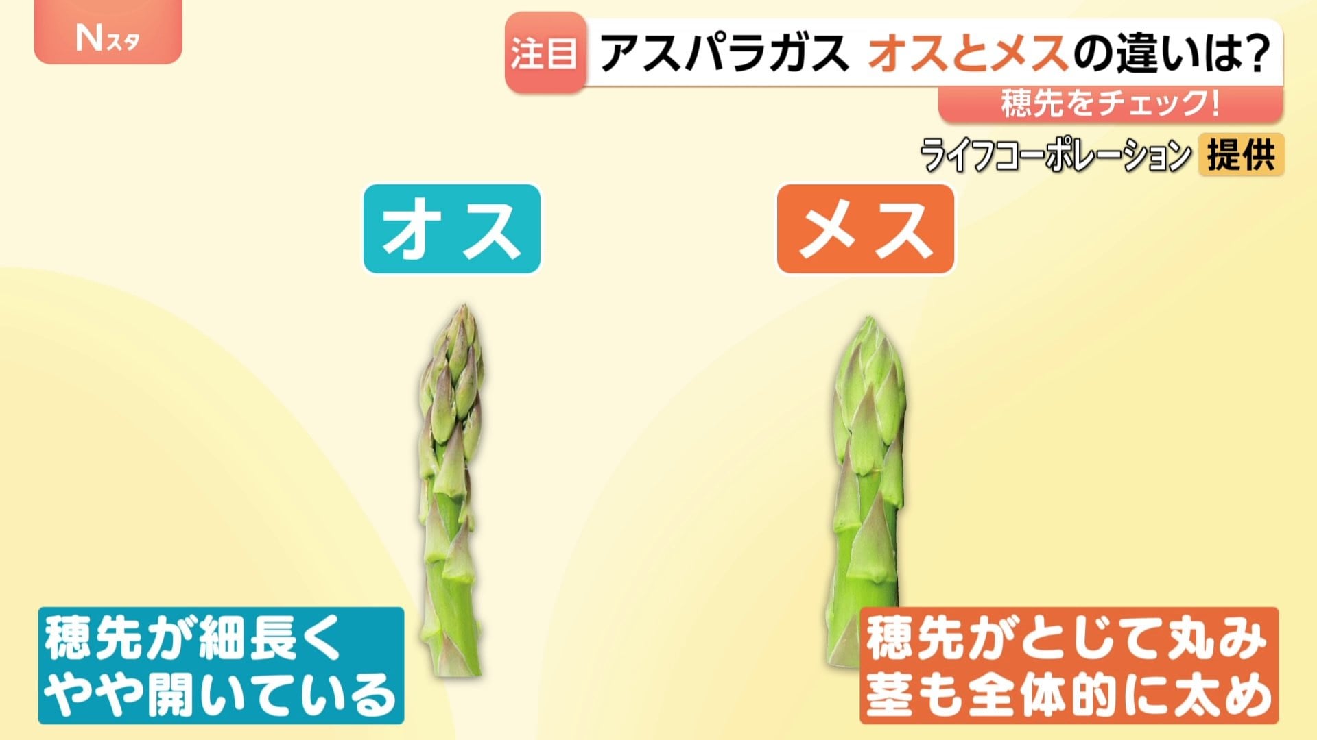 太くて甘い」初夏のアスパラガス 実は“オス”と“メス”がある！？見分け