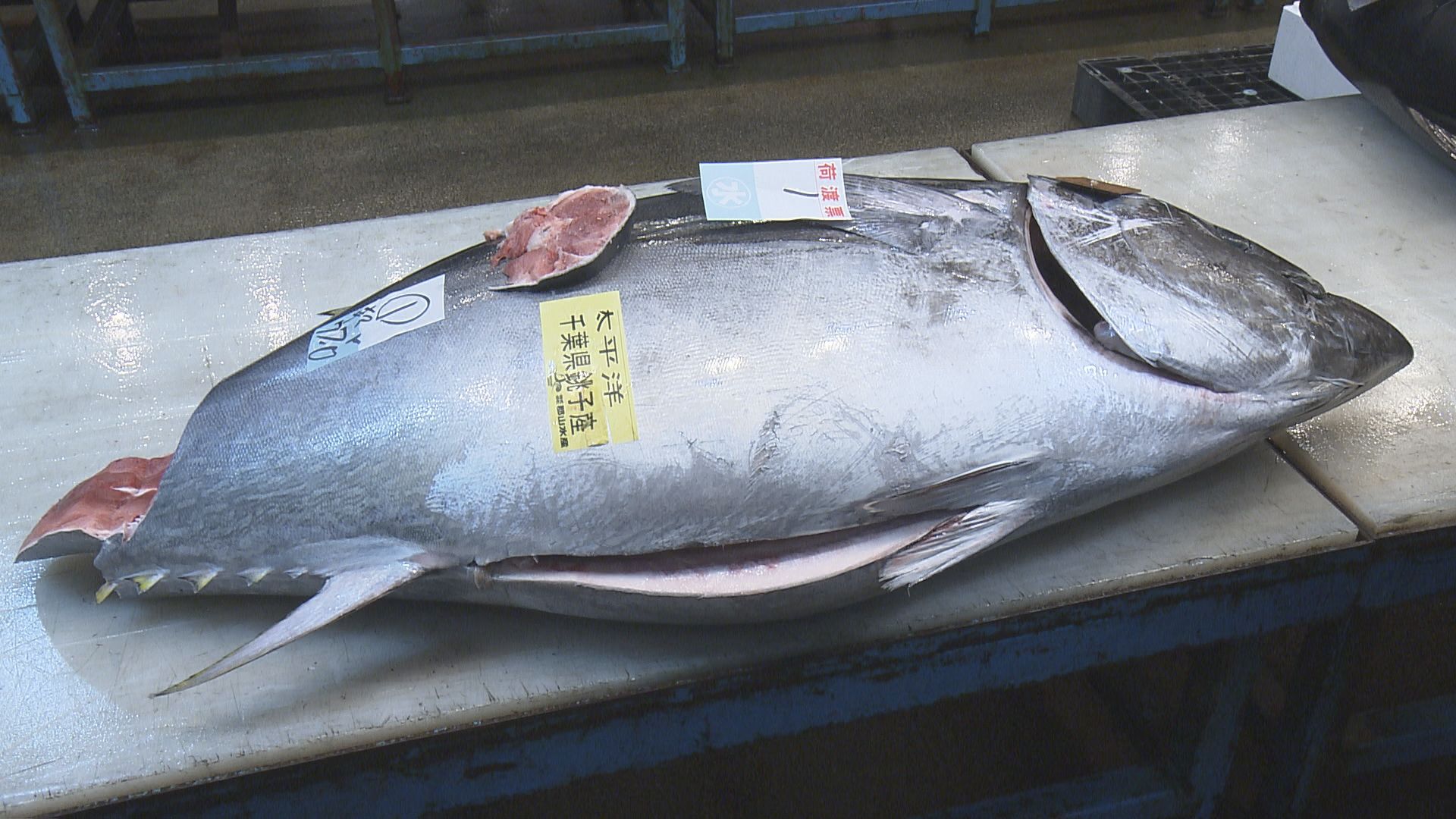 本マグロは77キロ35万円超 市場で初せり 新年の取引開始 福島 | 福島の