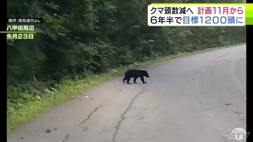 img_45ec9cf6dc74d000a5bc01c4a1