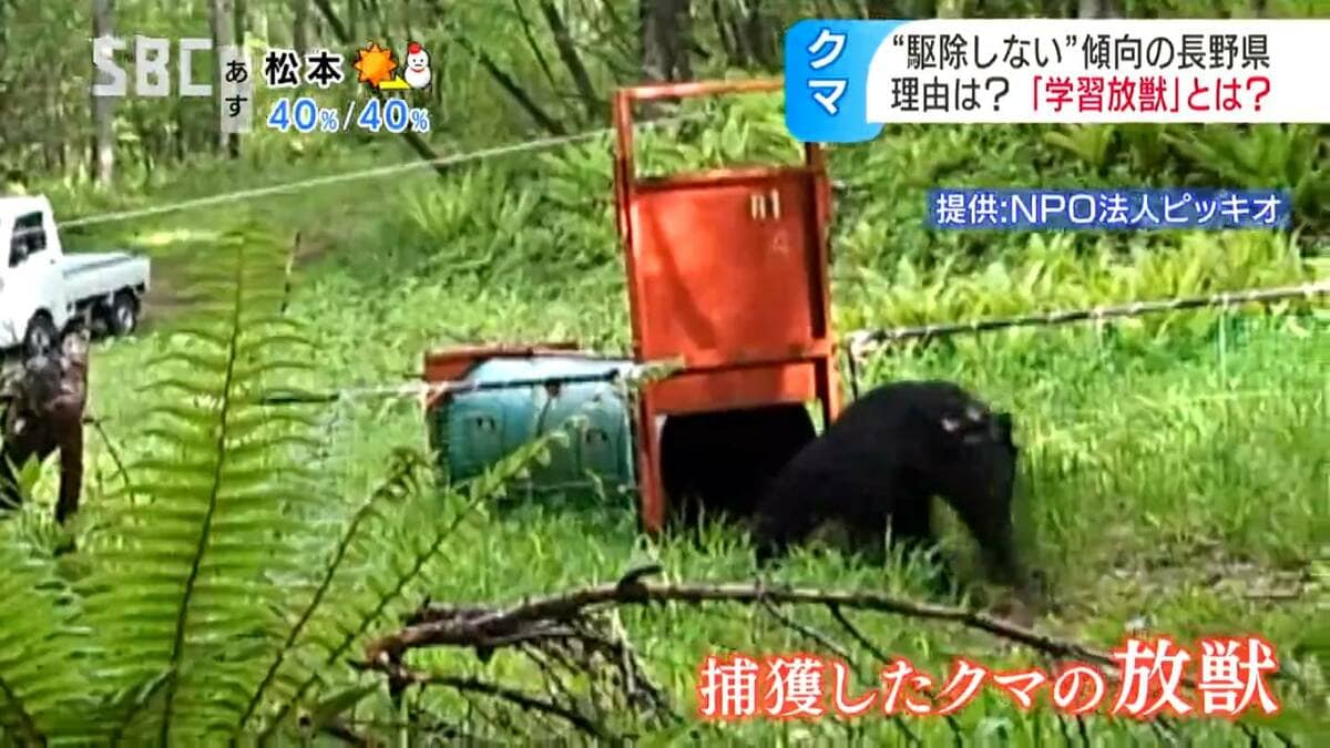 クマの駆除に抗議電話殺到のケースも 一方で駆除の割合が少ない長野県