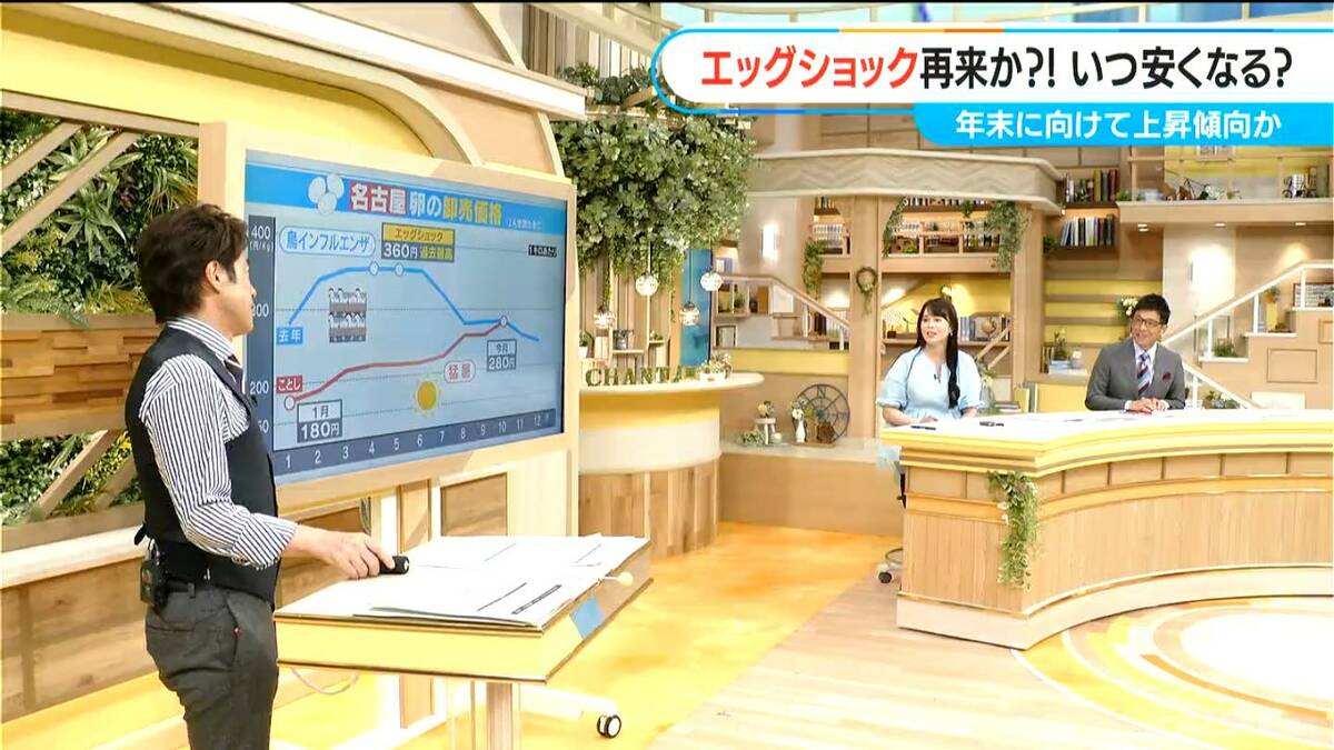 値下げ！テレビ台 元値は25000円！！ほぼ新品 値段交渉可能 大人かわいいインテリア 伸縮テレビ台 【Nouvellvie-ノベルビ-】 OK