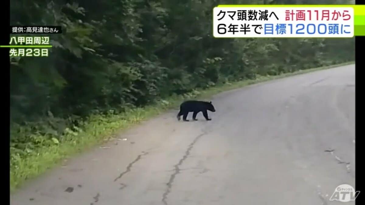 img_45ec9cf6dc74d000a5bc01c4a1