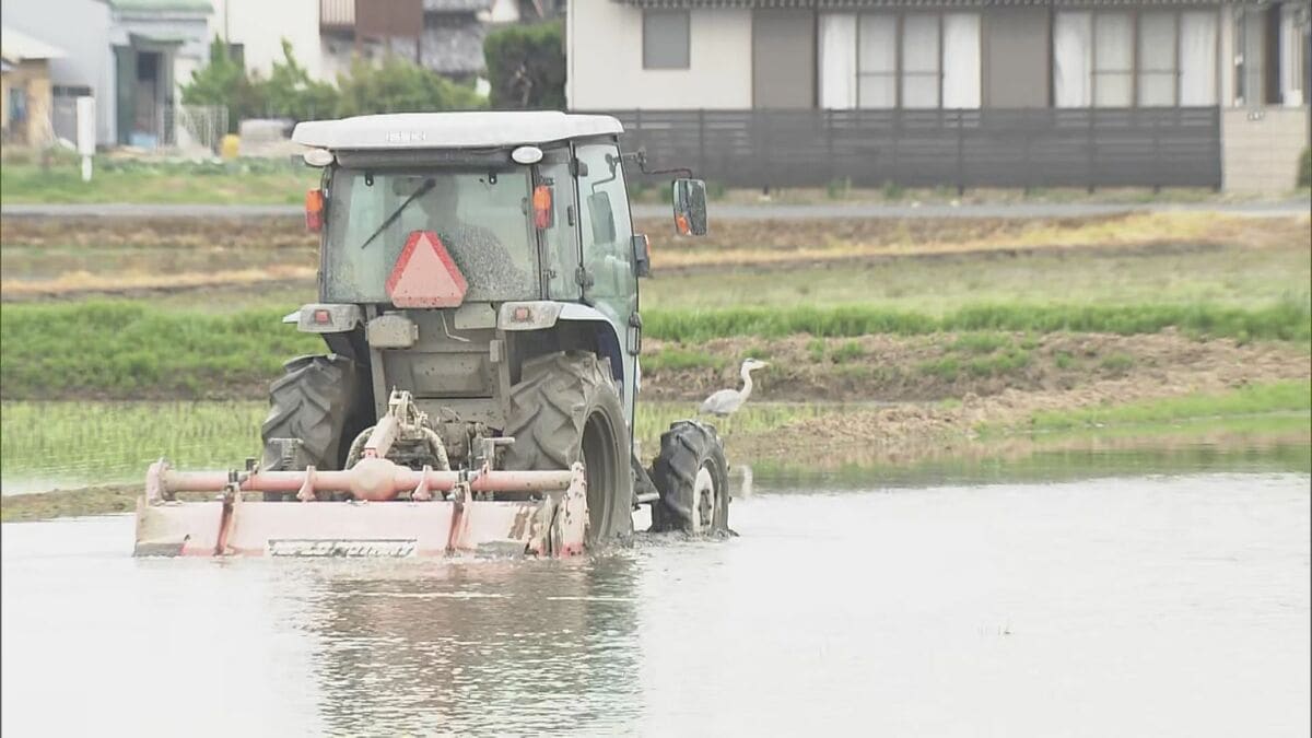“恵みの雨”で豊川用水の貯水率は50％超も… 田植えの延期要請続く愛知･東三河 ｢成長が進むと機械に引っかかる」