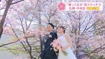 【撮っておきの桜】母娘・ウェディング・人生初めての春”桜の情景”をHBCカメラマンがスケッチ　第3回「中島公園」札幌・中央区|TBS NEWS DIG