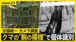 連日の被害「逃げようと思ったらクマが目の前でグワーッと…」7針縫った猟友会メンバー 対策は?“胸の模様”で個体識別 クマの全国統一のカメラ調査始まる【news23】|TBS NEWS DIG