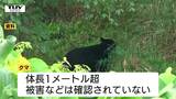 近くには道の駅も…河北町でけさ早くクマ1頭目撃 体長1メートル超か 広報車などで注意呼びかけ(山形) | 山形のニュース│TUYテレビユー山形